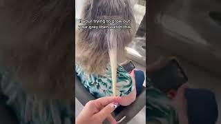 Do you have Grey Hair?