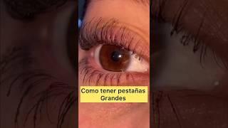 Pestañas grandes y pobladas ????✨#pestañasperfectas #tips #viral